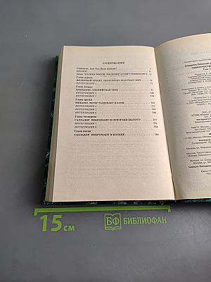 Одиночество мага. Том первый