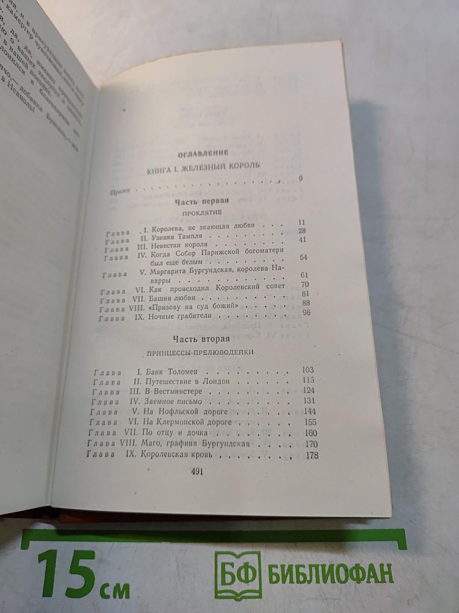 Железный король. Часть 1. Узница Шам-Тайяра