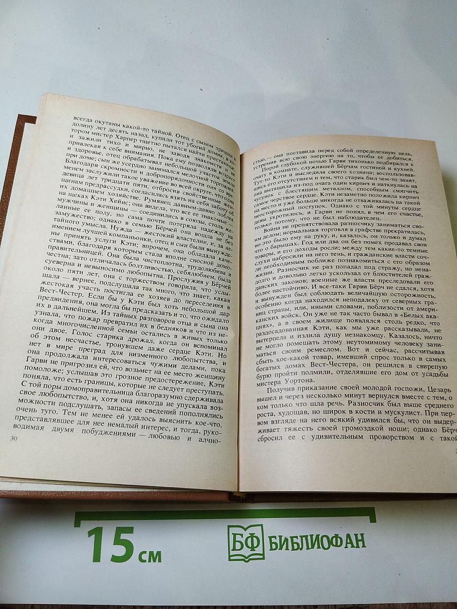 Шпион, или Повесть о нейтральной территории