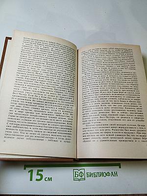 Шпион, или Повесть о нейтральной территории