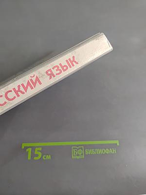 Русский язык. Грамматика. Текст. Стили речи. Учебное пособие для старших классов общеобразовательных учреждений. 10-11 классы
