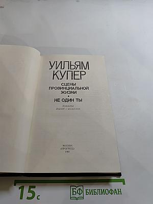 Сцены провинциальной жизни. Не один ты