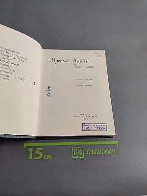 Годам вослед