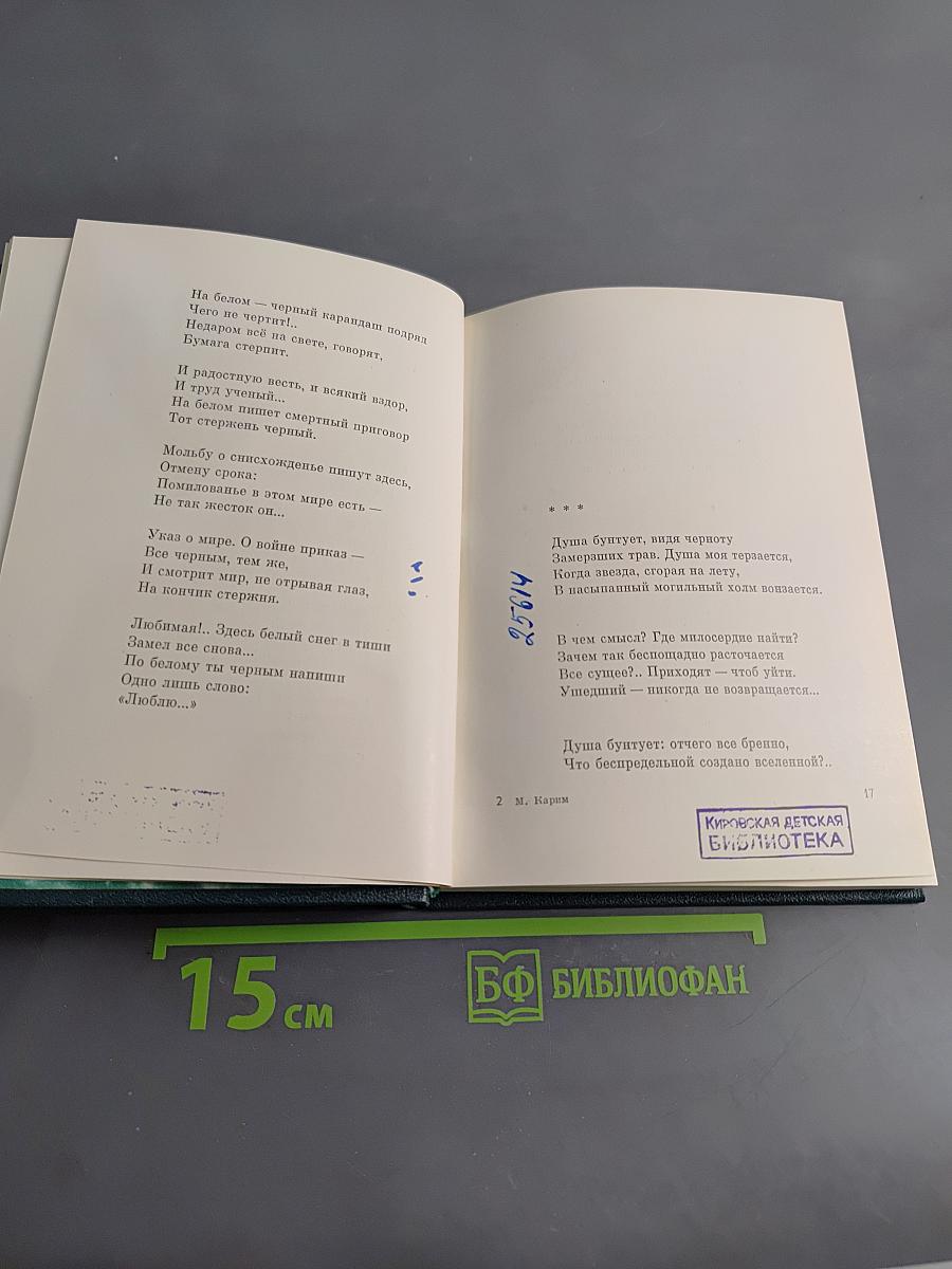 Годам вослед