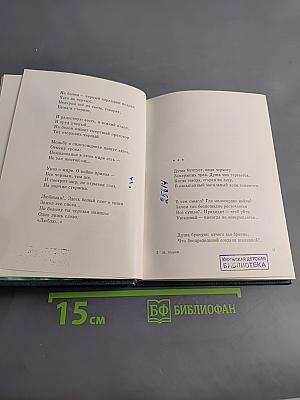 Годам вослед