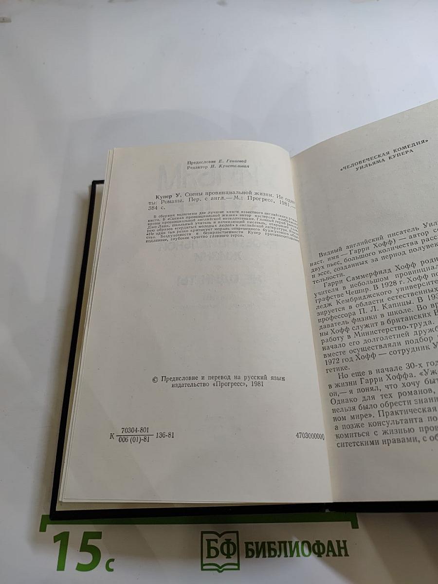 Сцены провинциальной жизни. Не один ты