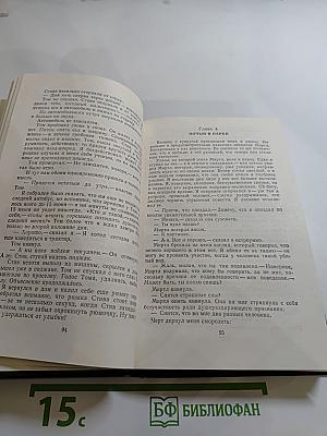 Сцены провинциальной жизни. Не один ты