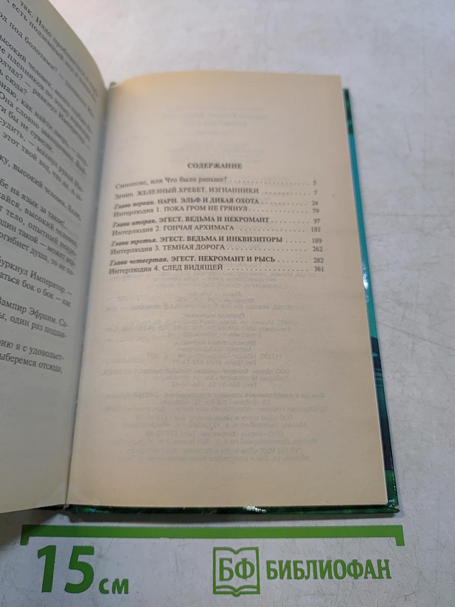 Странствия мага. Том 1. Хранитель мечей