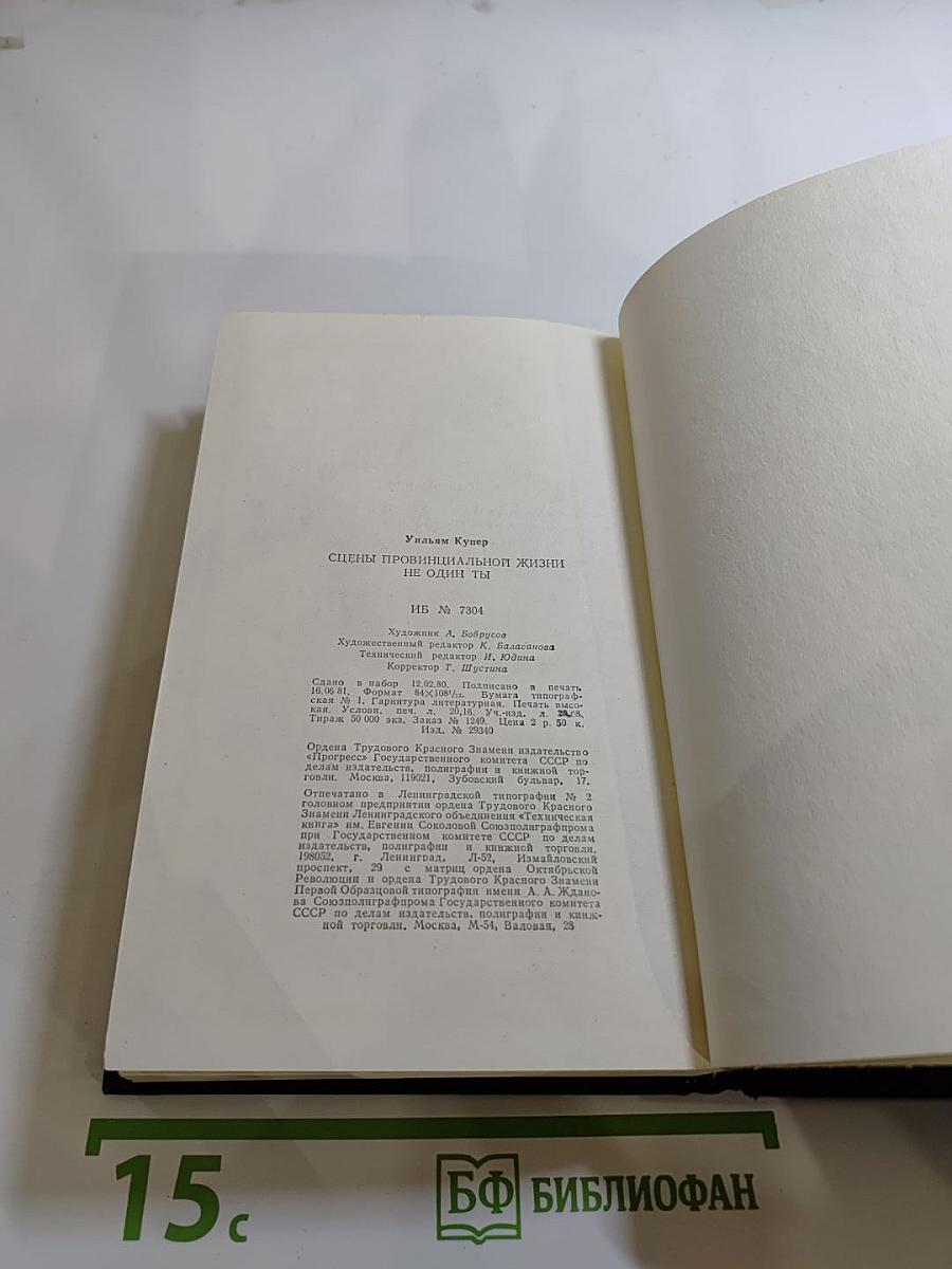 Сцены провинциальной жизни. Не один ты