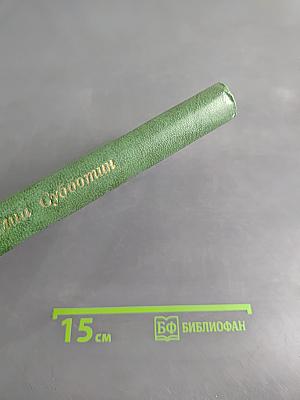 Жизнь поэта