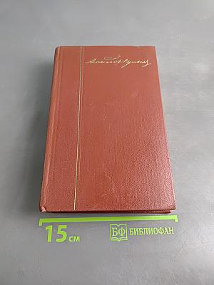 Собрание сочинений. Том шестой. Критика и публицистика