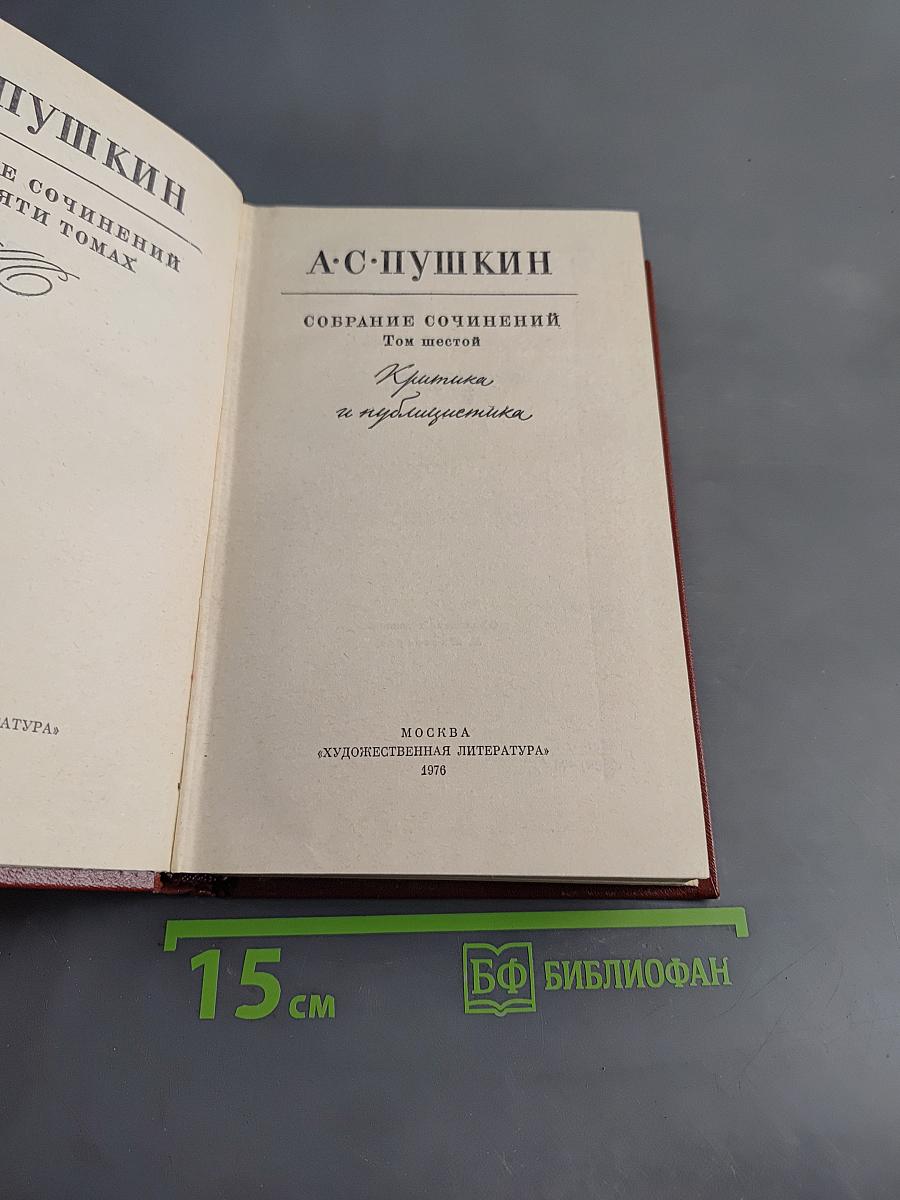 Собрание сочинений. Том шестой. Критика и публицистика