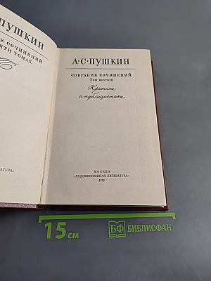 Собрание сочинений. Том шестой. Критика и публицистика