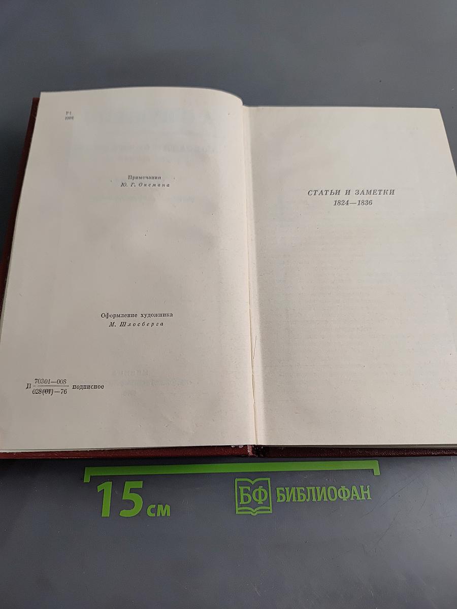 Собрание сочинений. Том шестой. Критика и публицистика