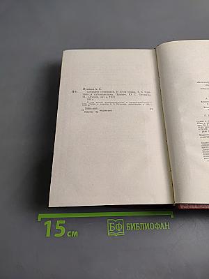 Собрание сочинений. Том шестой. Критика и публицистика