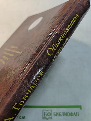 Обыкновенная история