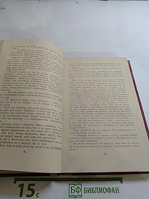 Карьера Ругонов