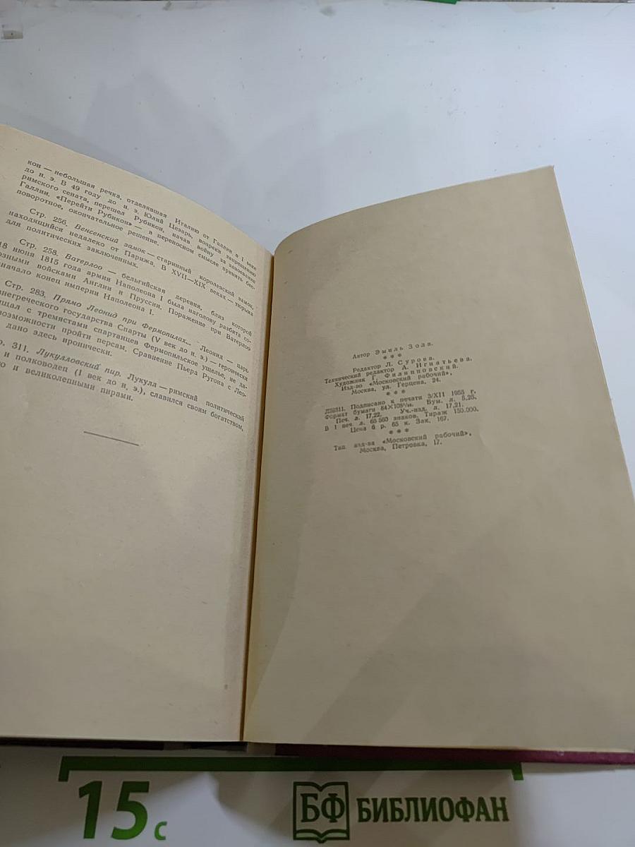 Карьера Ругонов