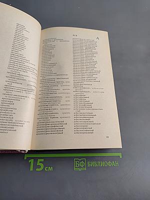 Слитно или раздельно? Опыт словаря-справочника