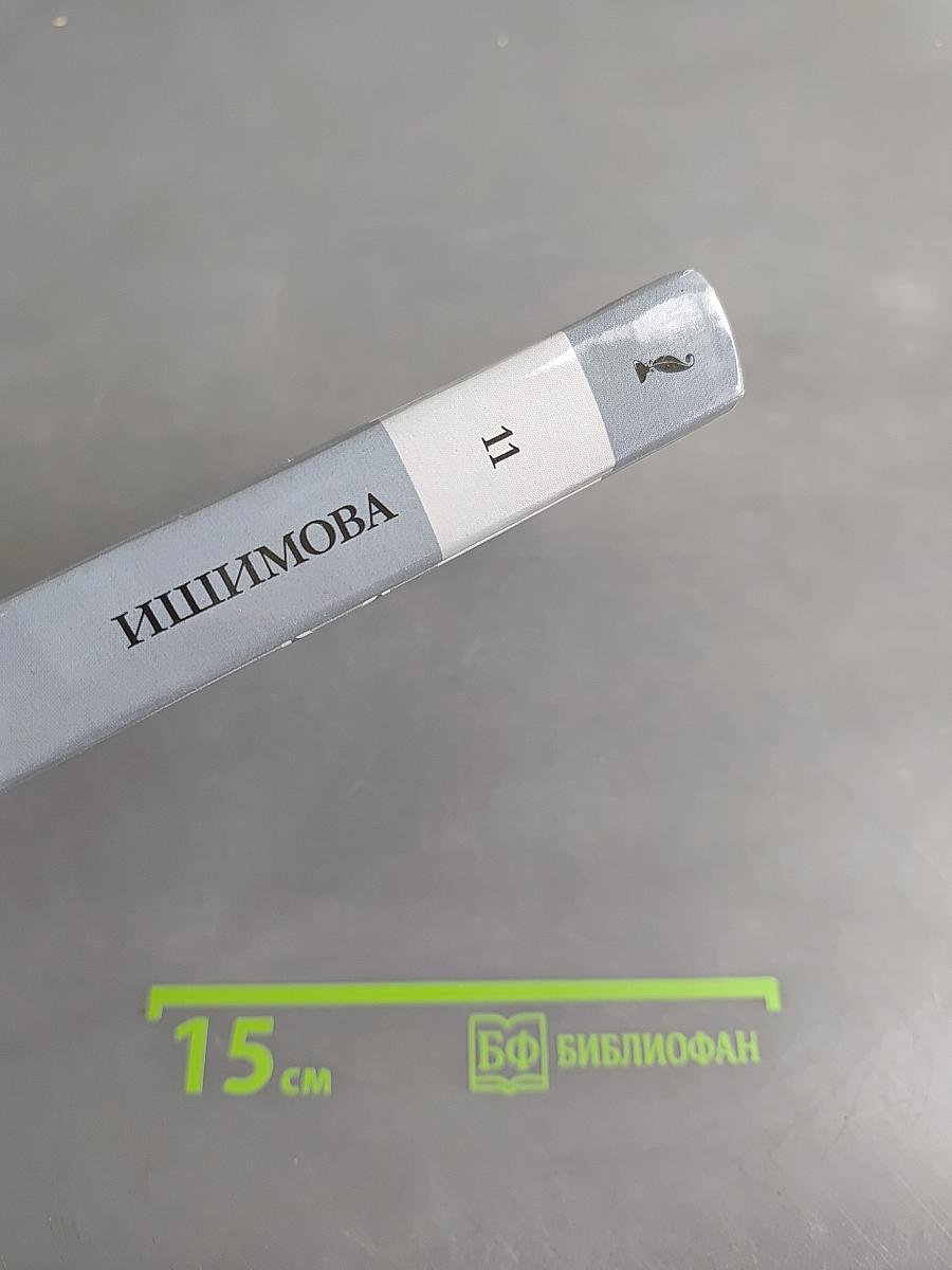 История России в рассказах для детей. Книга вторая