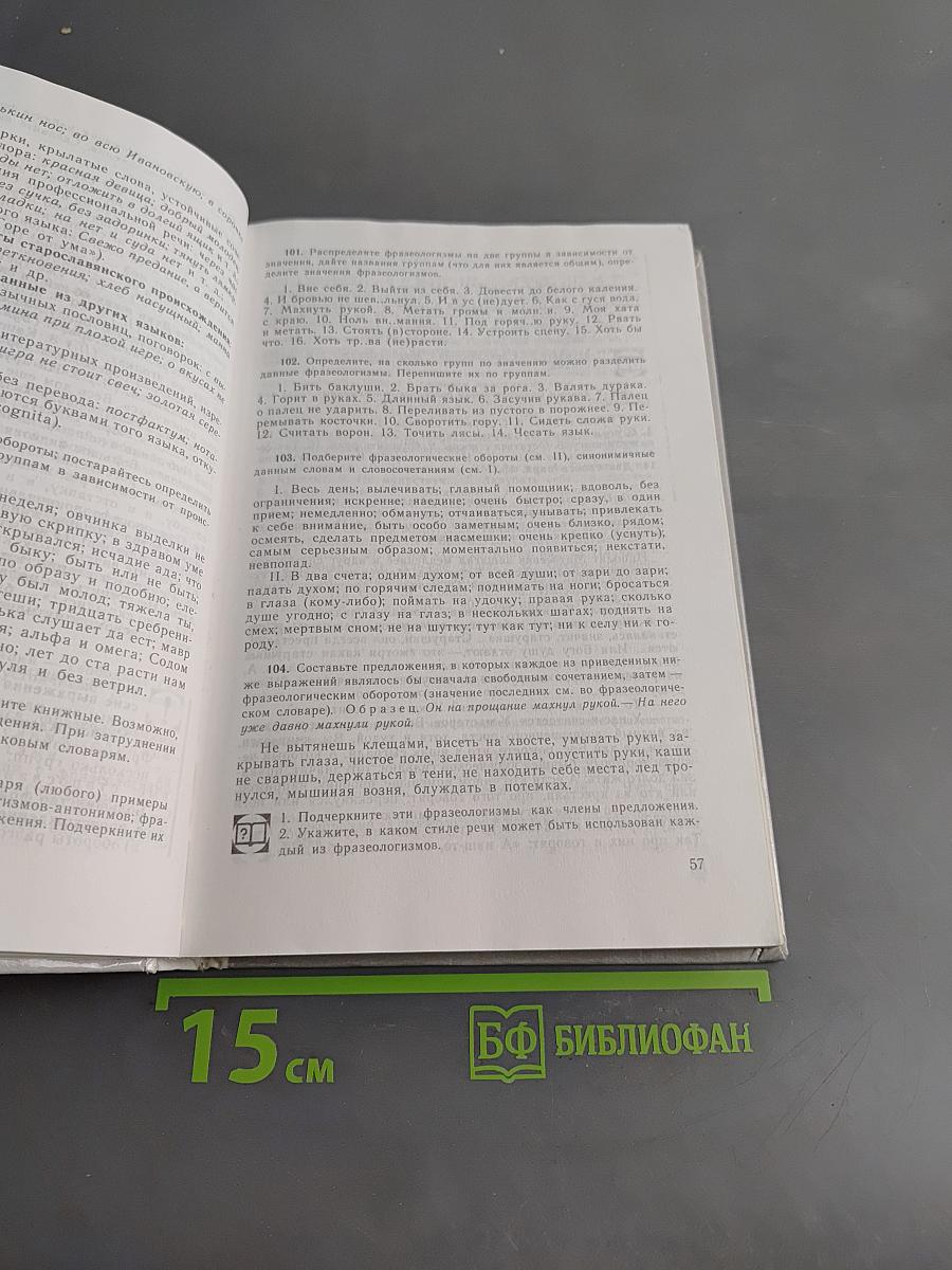 Русский язык. Грамматика. Текст. Стили речи. Учебное пособие для 10-11 классов общеобразовательных учреждений