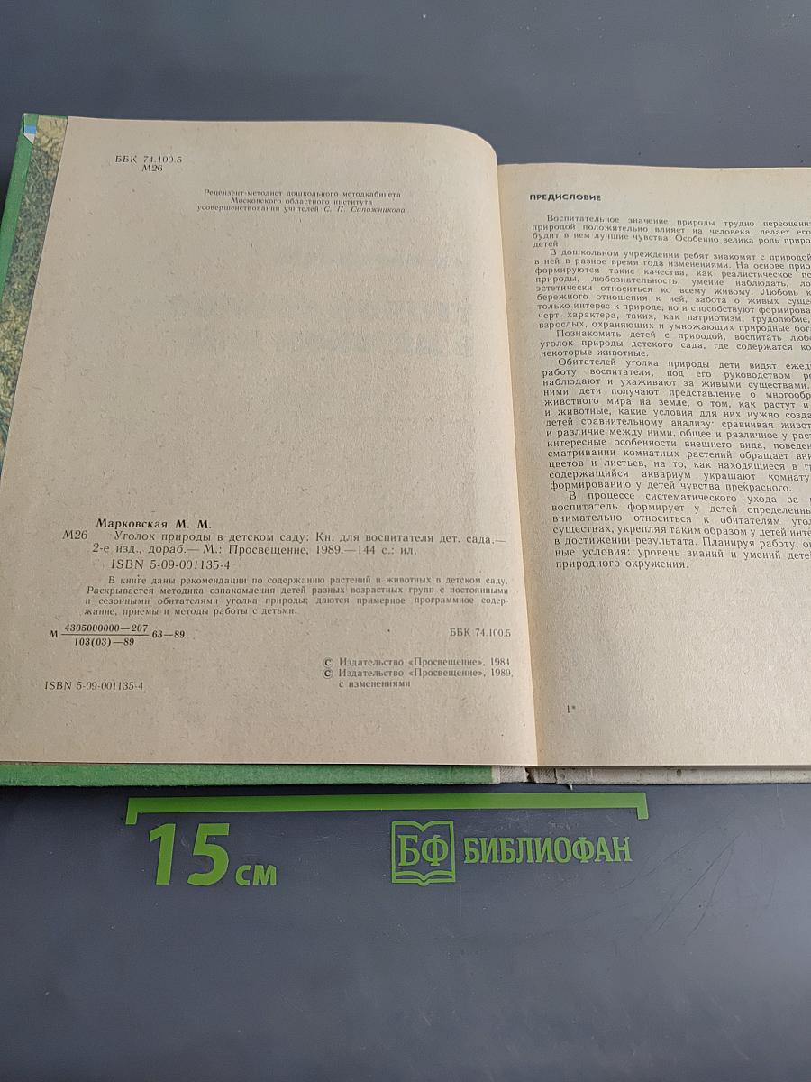Уголок природы в детском саду