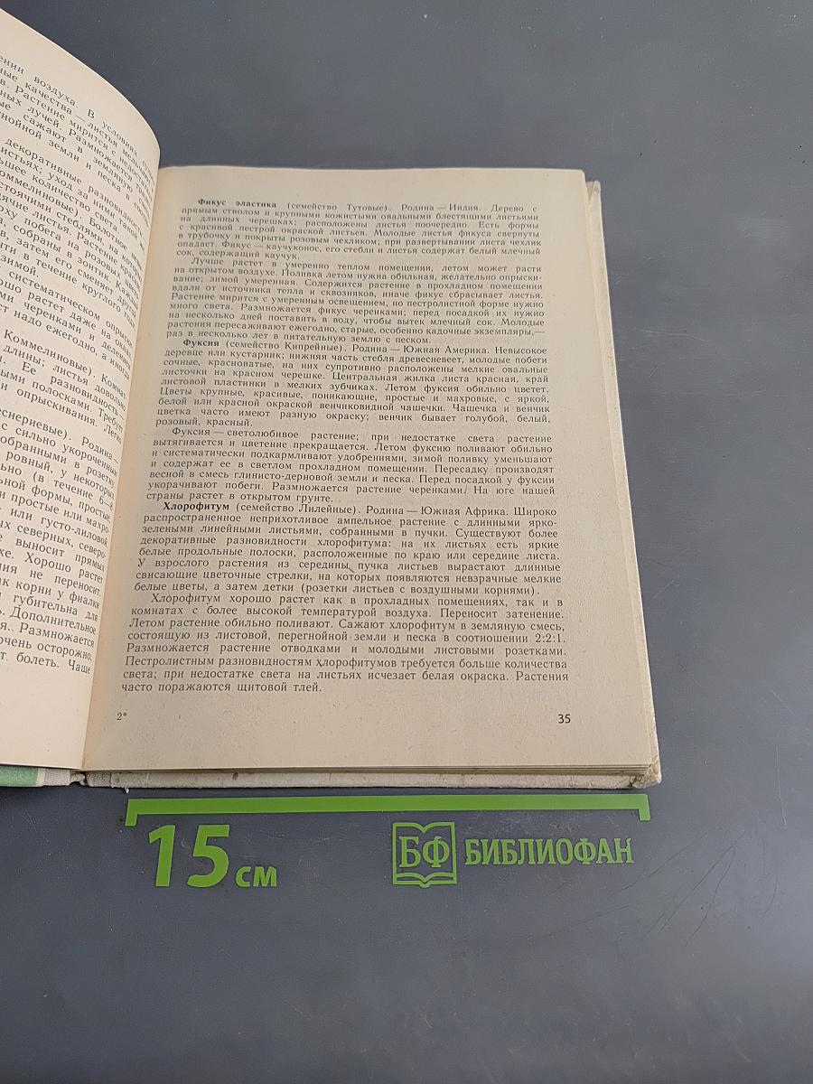 Уголок природы в детском саду