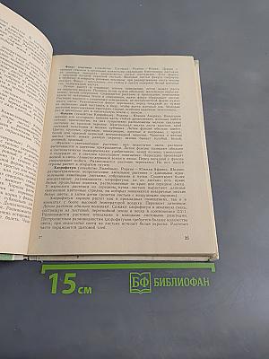 Уголок природы в детском саду
