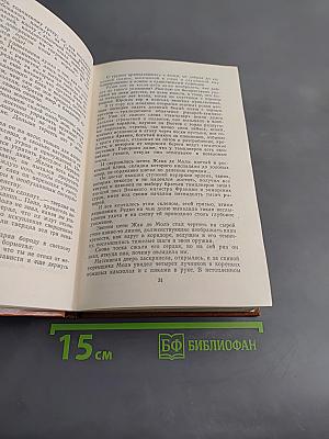 Железный король. Узница Шато-Тайара