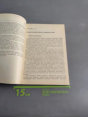 Высокотемпературная зимовка медоносных пчёл