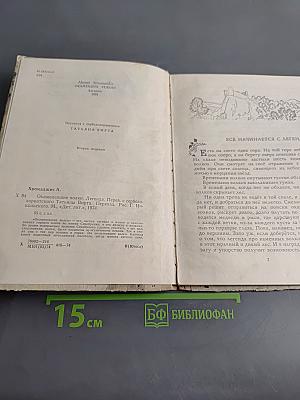 Каменевшие волки