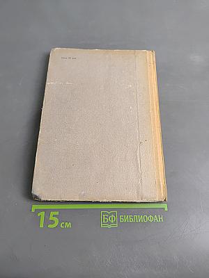 Каменевшие волки