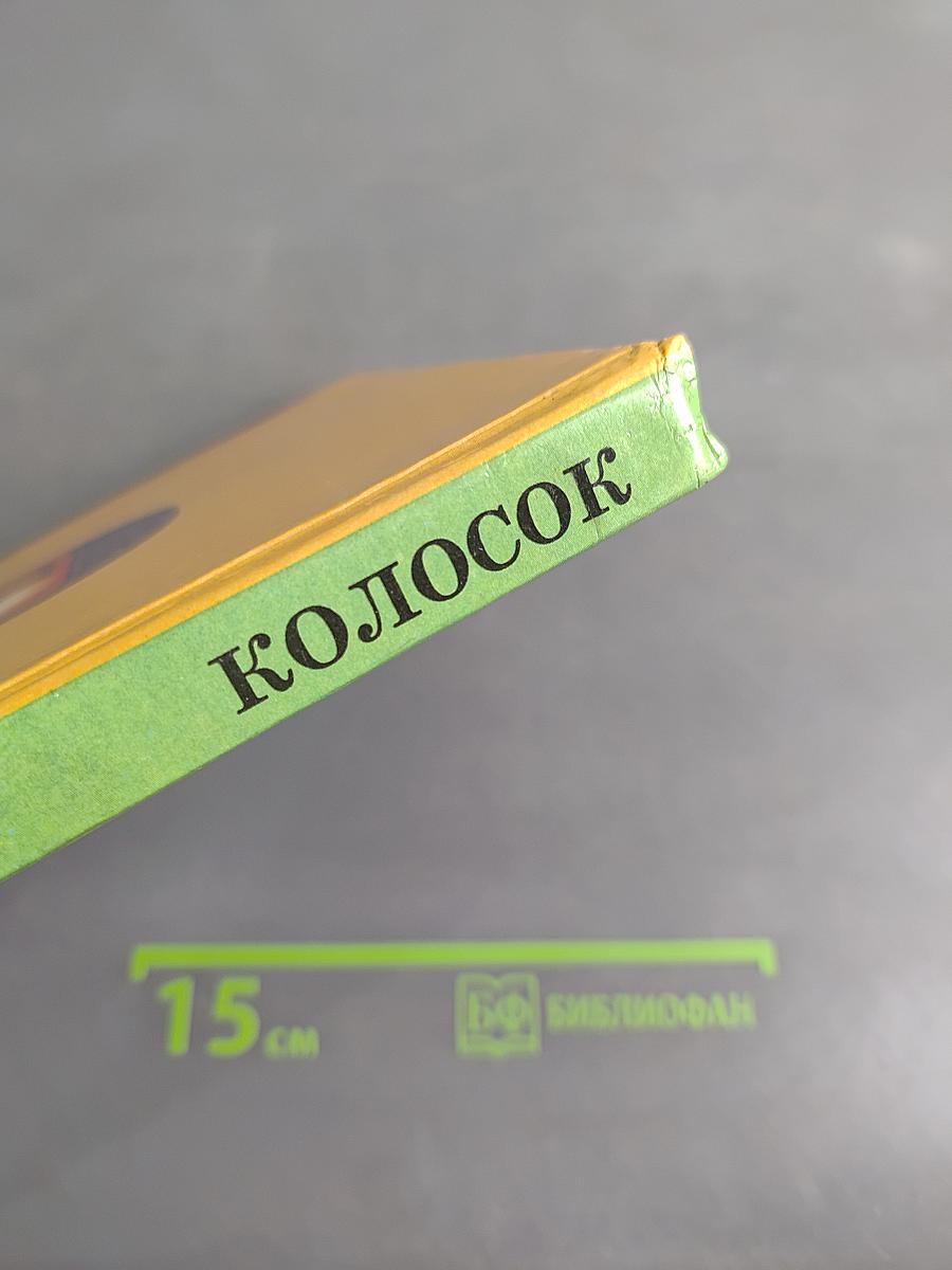 Колосок. Книга для внеклассного чтения в начальной школе. 2 класс