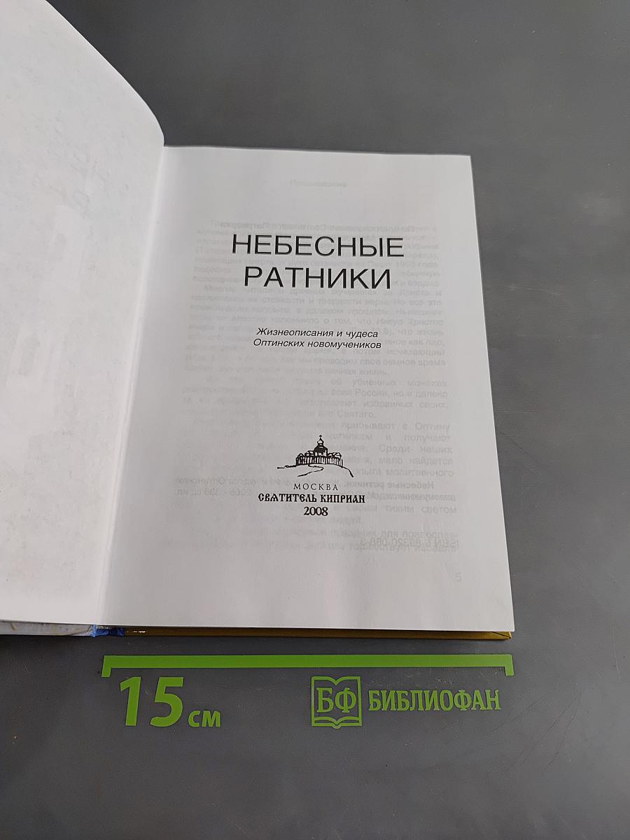 Небесные ратники. Жизнеописания и чудеса Оптинских новомучеников