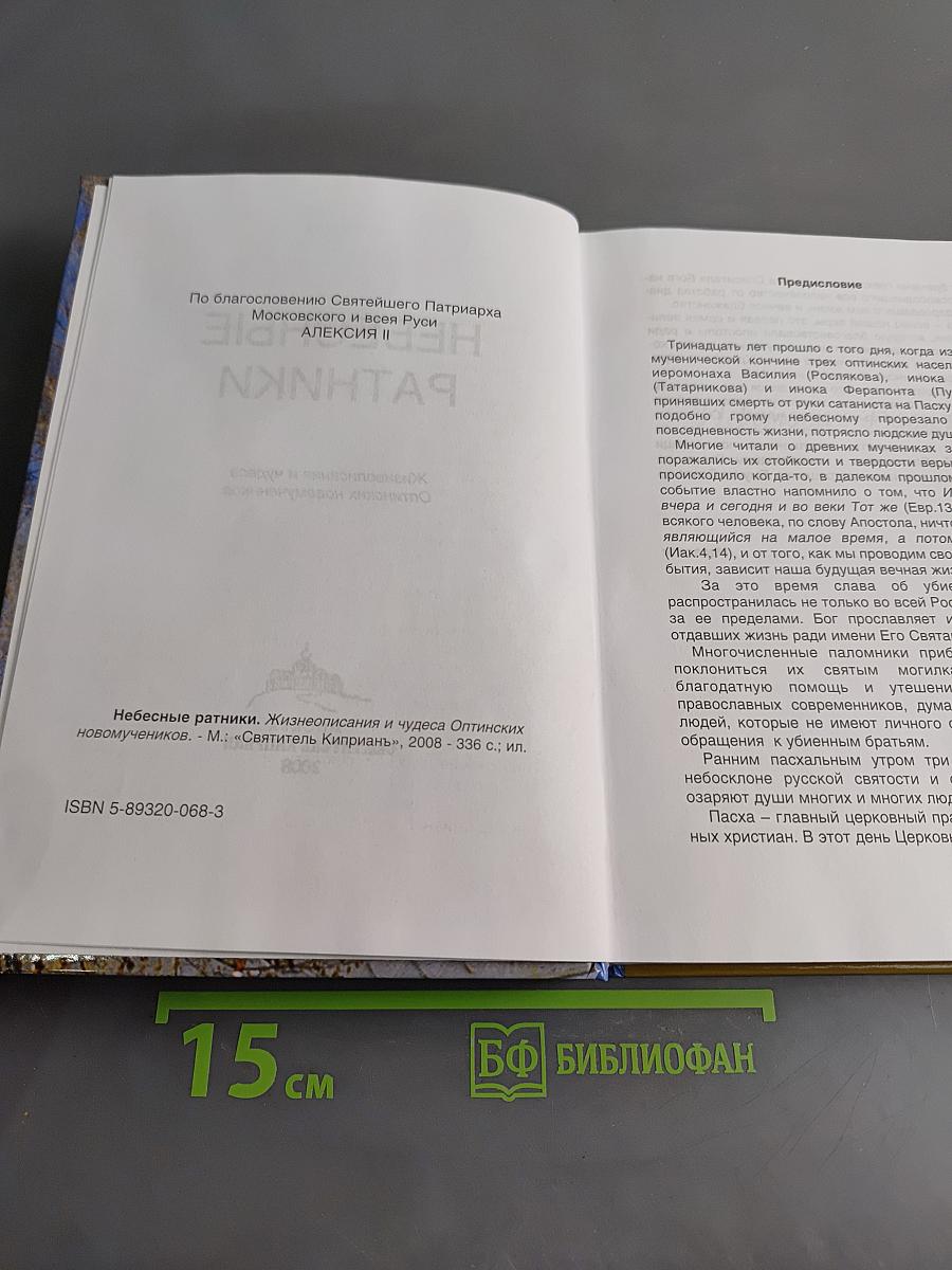 Небесные ратники. Жизнеописания и чудеса Оптинских новомучеников