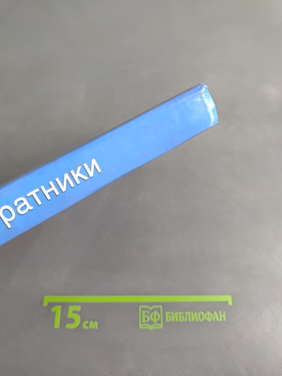Небесные ратники. Жизнеописания и чудеса Оптинских новомучеников
