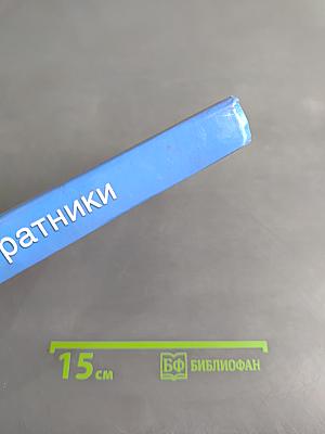 Небесные ратники. Жизнеописания и чудеса Оптинских новомучеников