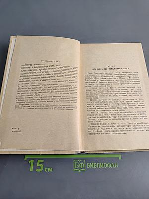 Иоганн Штраус