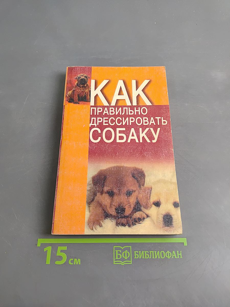 Как правильно дрессировать собаку
