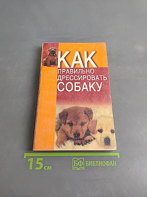 Как правильно дрессировать собаку
