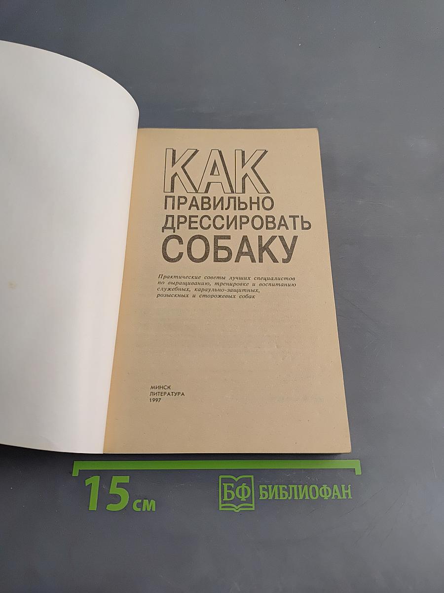 Как правильно дрессировать собаку