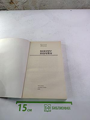 Вокруг версии