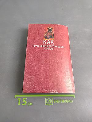 Как правильно дрессировать собаку