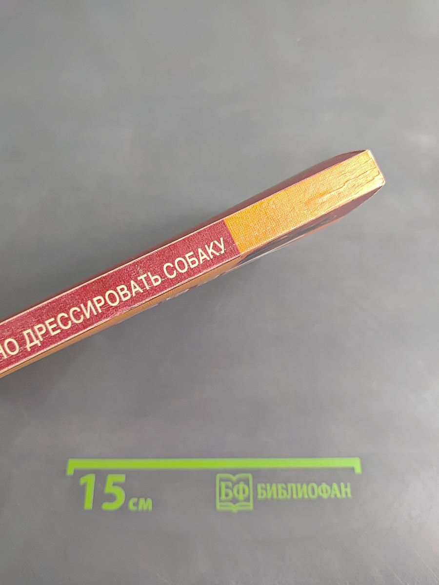 Как правильно дрессировать собаку