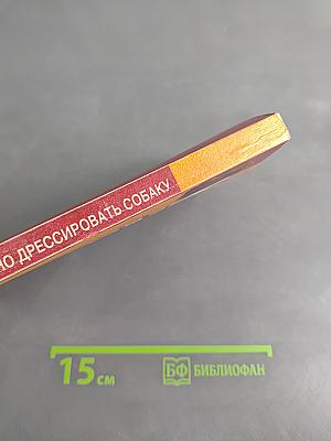 Как правильно дрессировать собаку