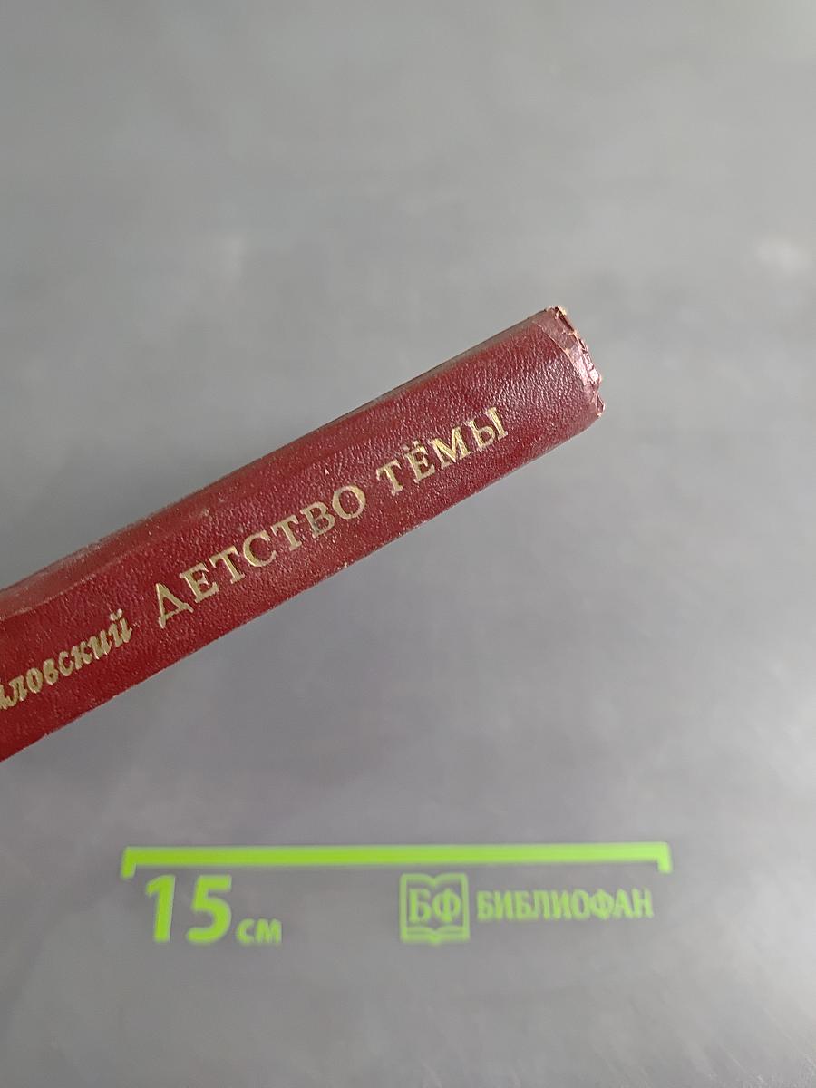 Детство Тёмы