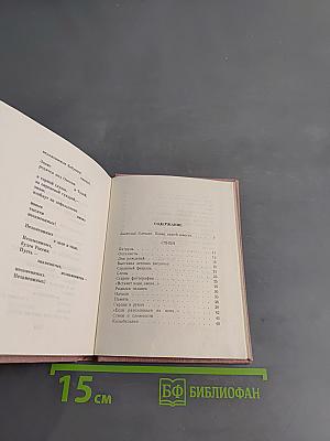 Перед праздником
