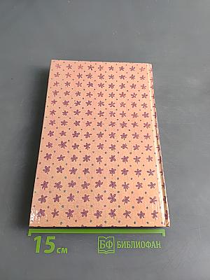 Приключения Бибигона