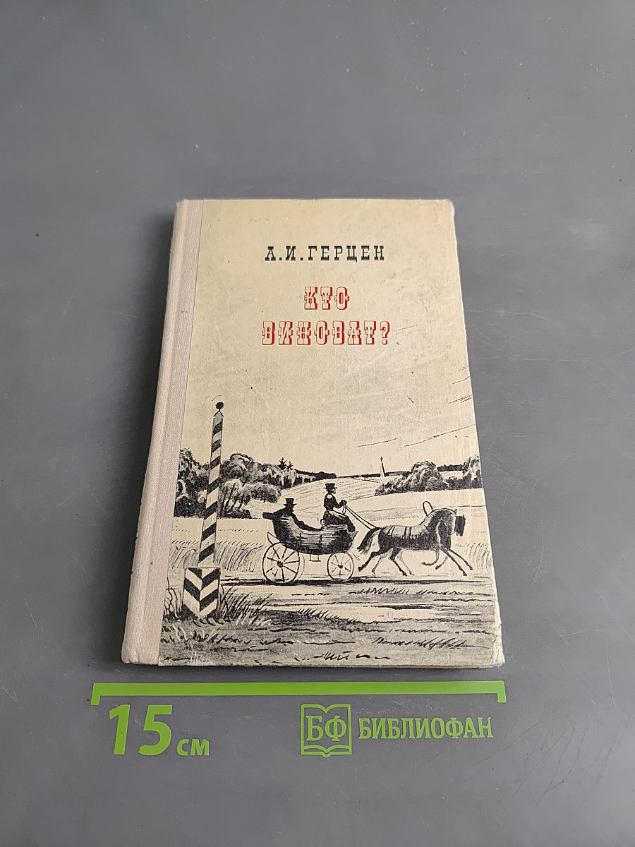 Кто виноват?