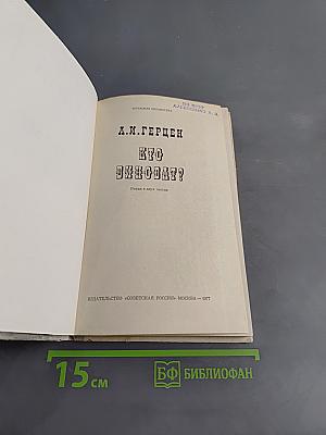 Кто виноват?